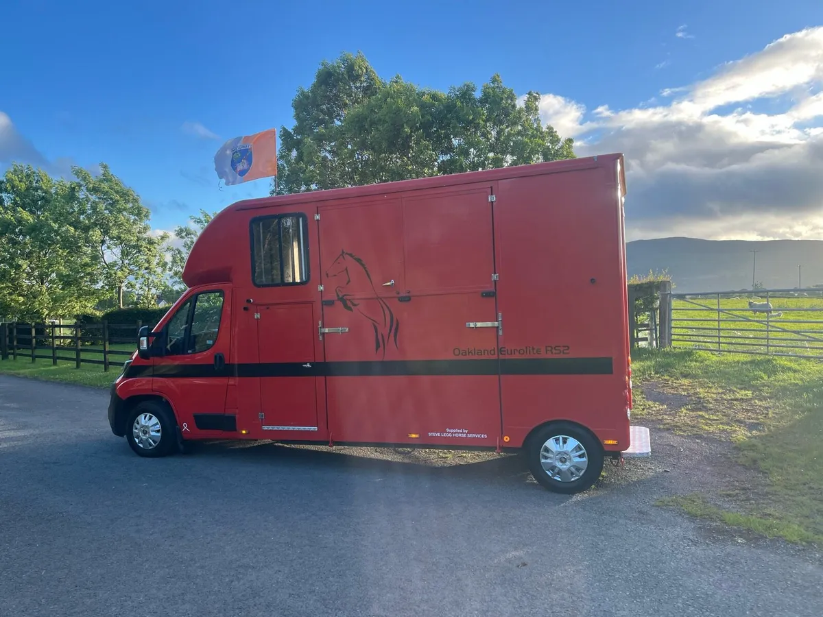 Horse transport lorry Oakland Eurolite🏇2021 - Image 4