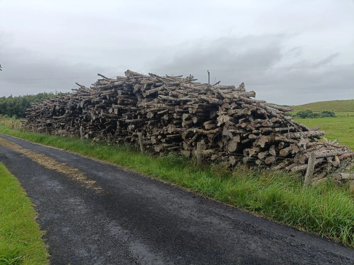 Ash timber firewood