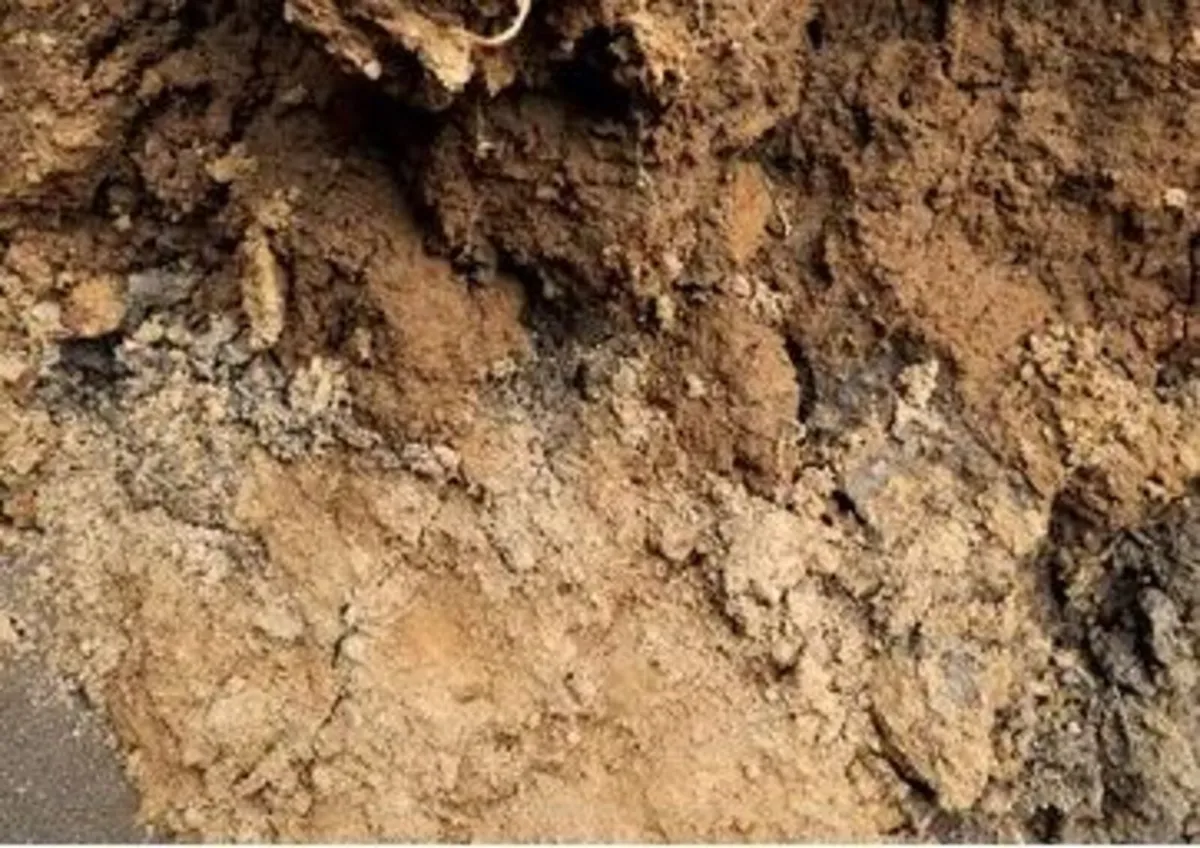 Sub Soil