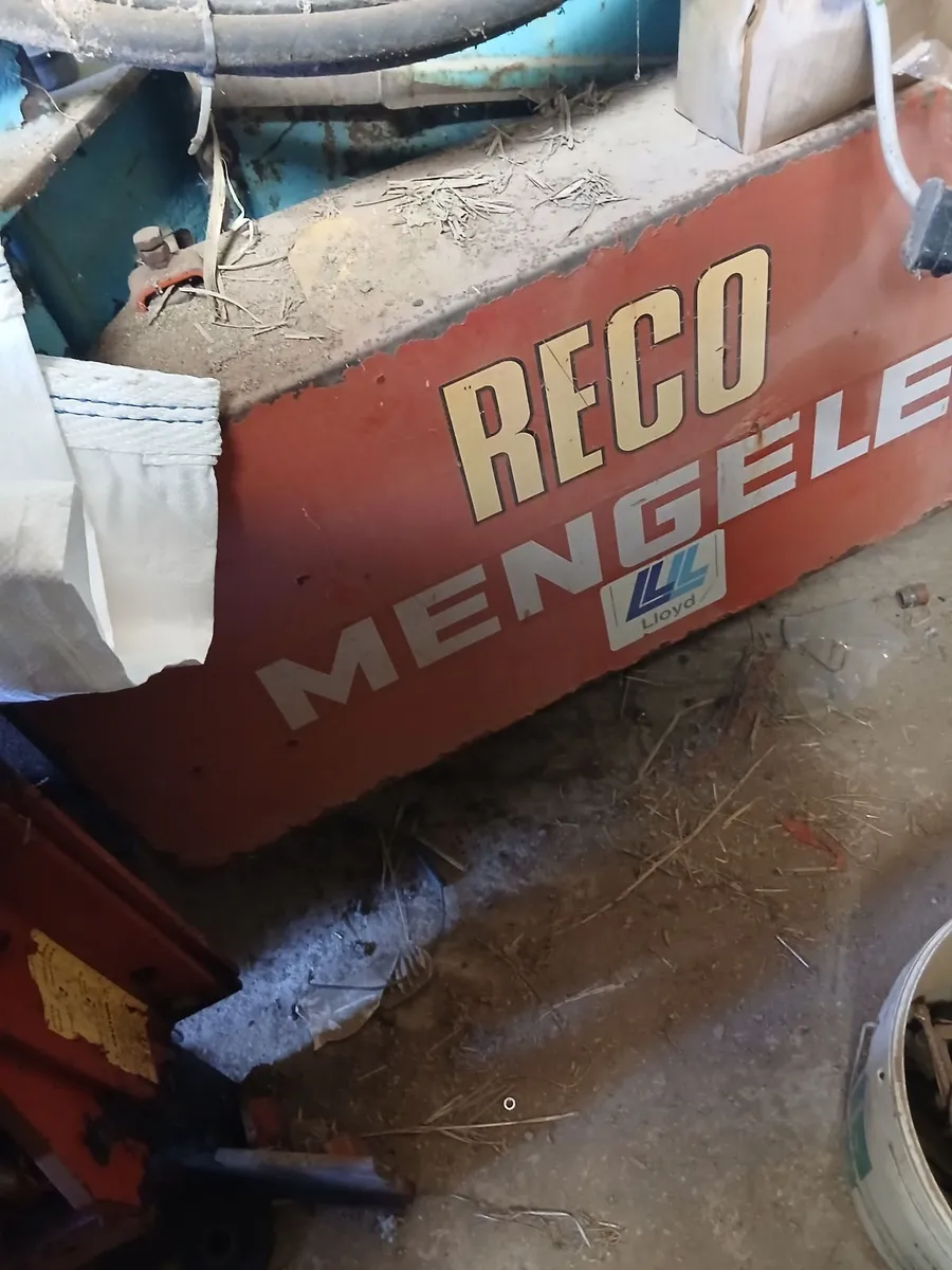 MENGELE - Image 4