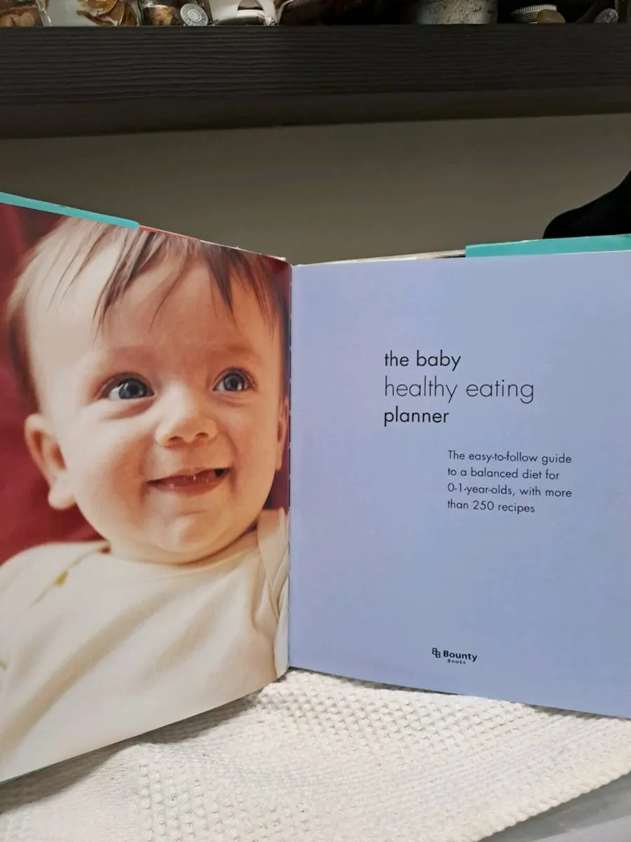 The Baby Healthy Eating Planner Amanda Grant - Image 4