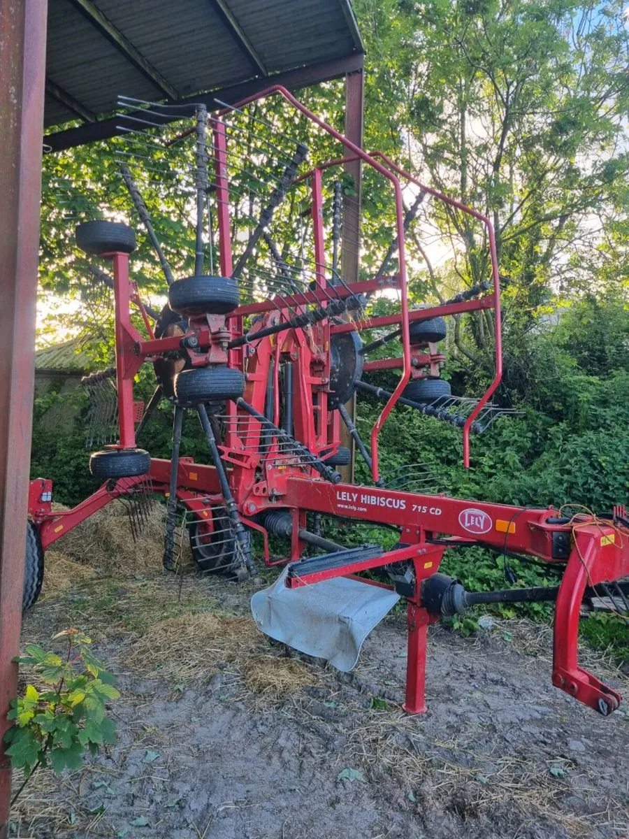 Lely Hibiscus 715 Rake - Image 1