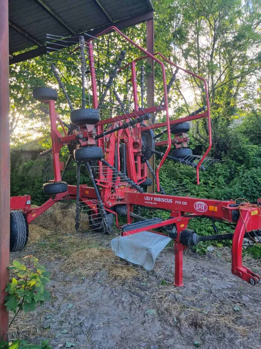 Lely Hibiscus 715 Rake - Image 2