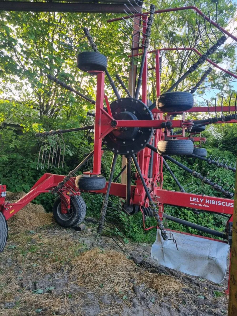 Lely Hibiscus 715 Rake - Image 3