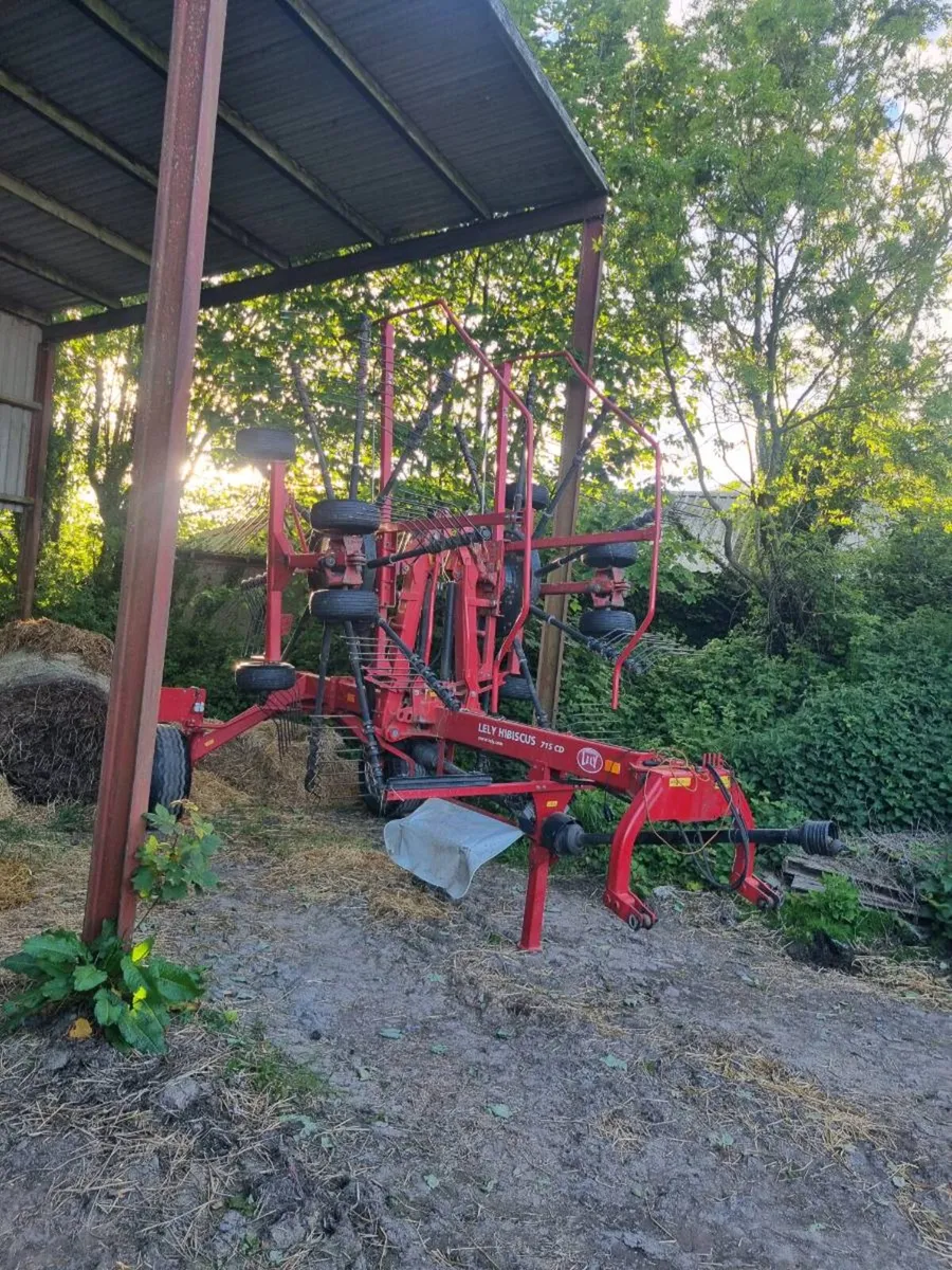 Lely Hibiscus 715 Rake - Image 4
