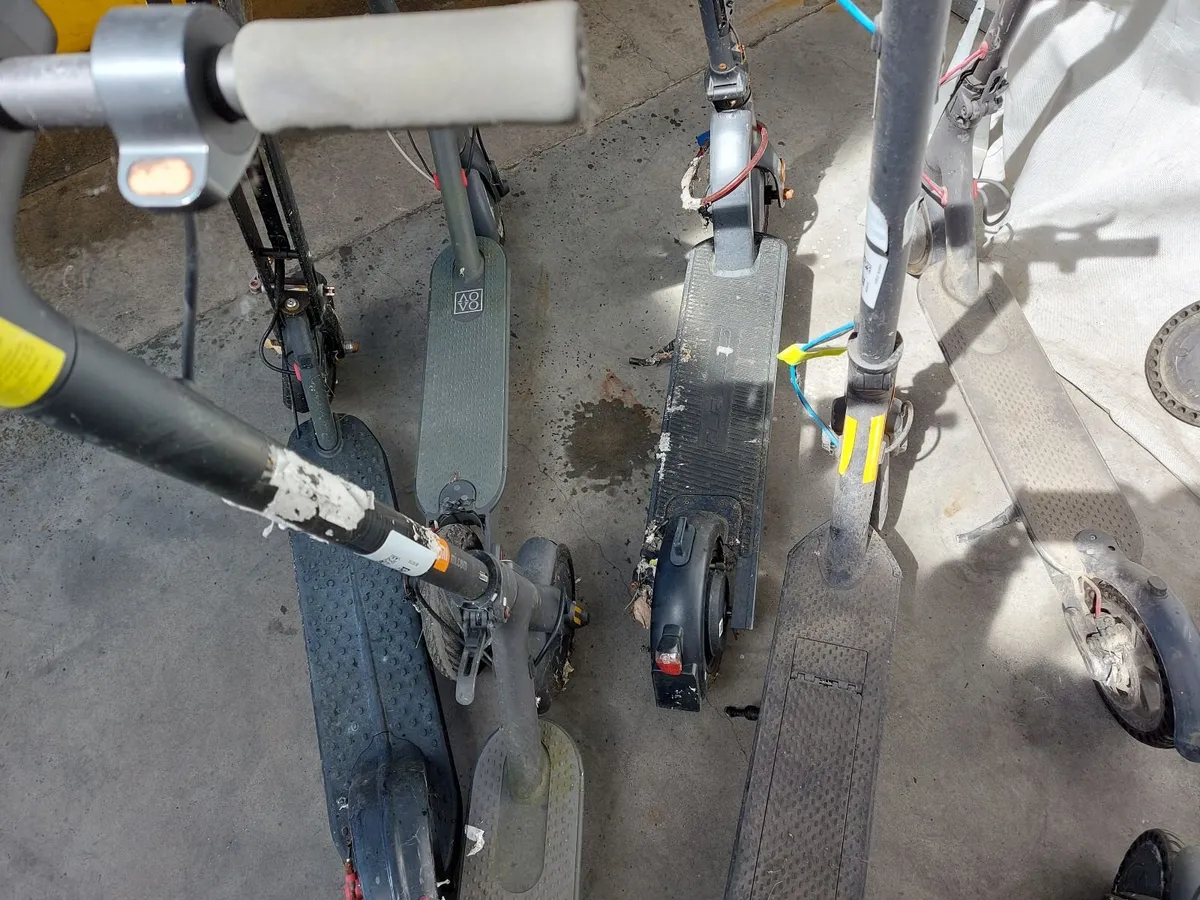 Online Push Bike & Scooter Auction - Image 1