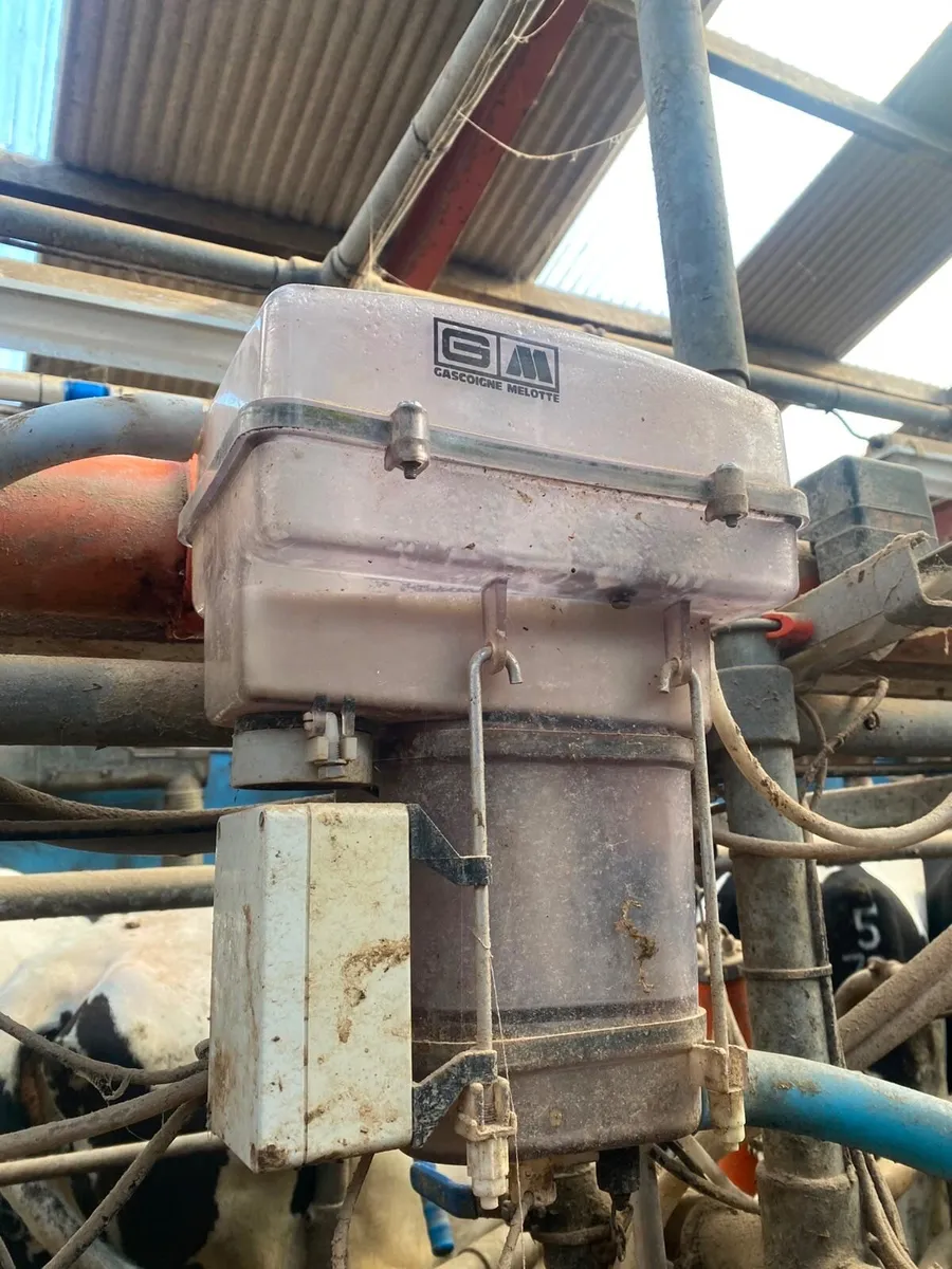 Gascongne 12 point Milking Parlour - Image 1