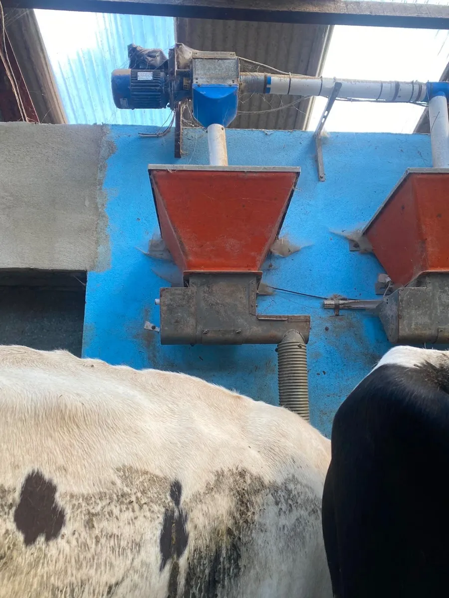 Gascongne 12 point Milking Parlour - Image 2