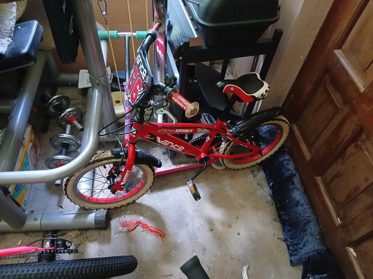Kids bike - Image 2