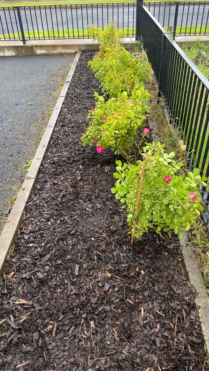 Is your garden getting out of control? - Image 1