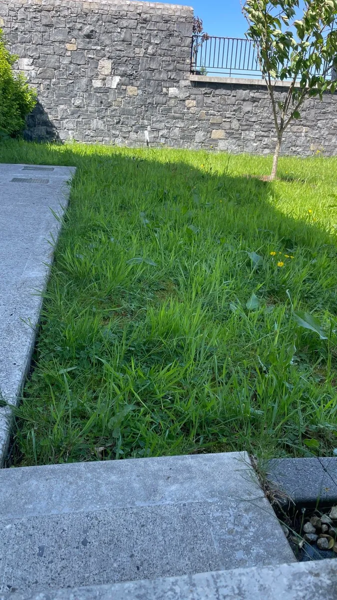 Is your garden getting out of control? - Image 3