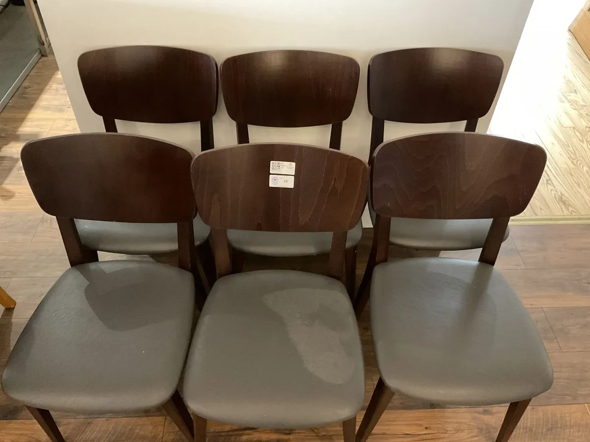 Auction Of Contents Of Native & Wild - Image 2