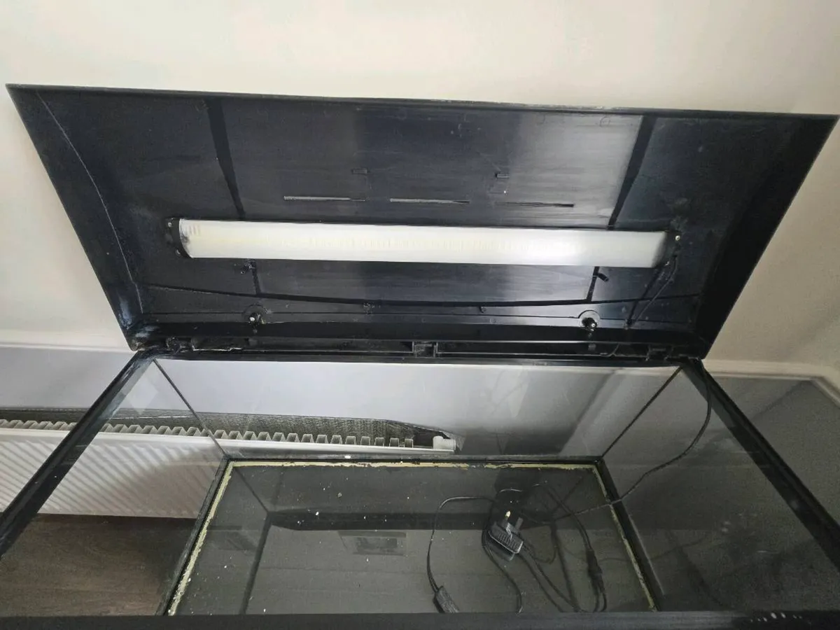125ltr Aquarium for sale - Image 4