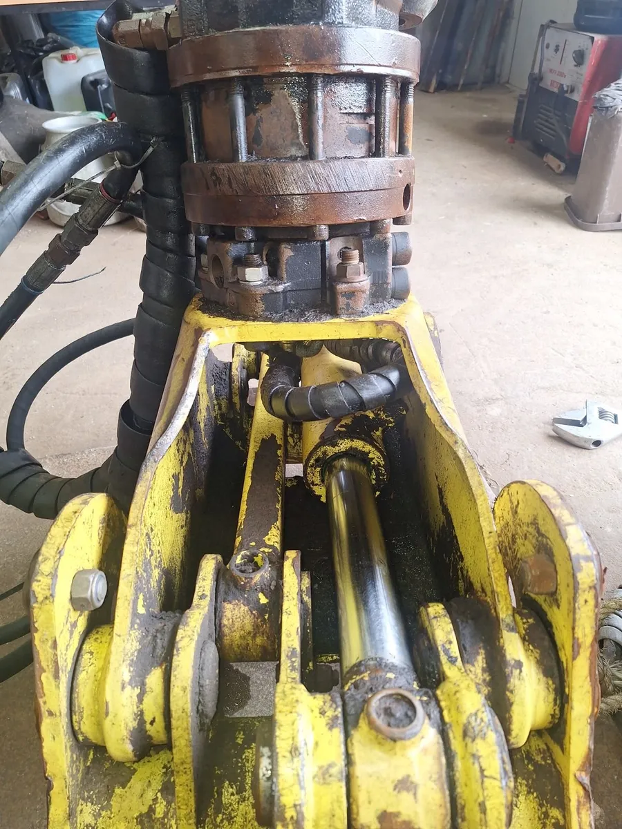 Timber Grabs - Image 3