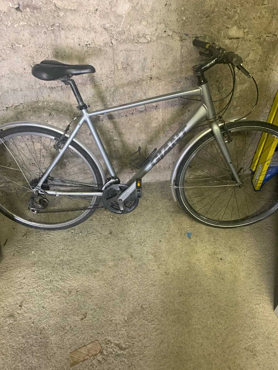 Giant road bike