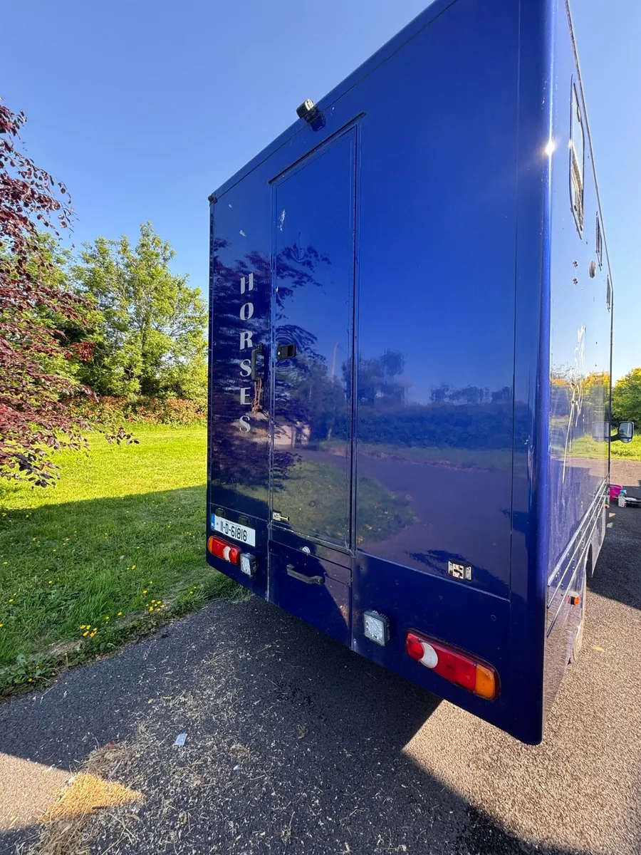 3.5 ford transit 2 horse lorry - Image 2