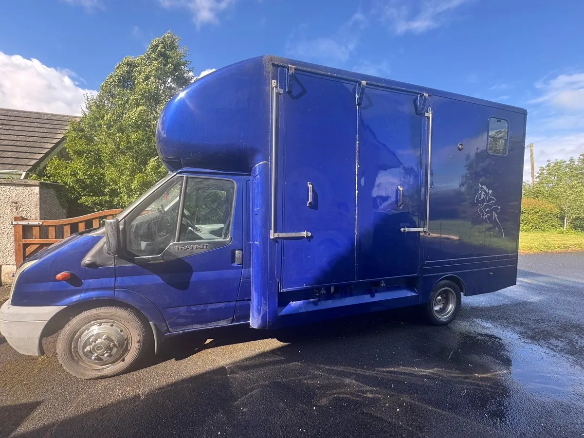 3.5 ford transit 2 horse lorry - Image 3