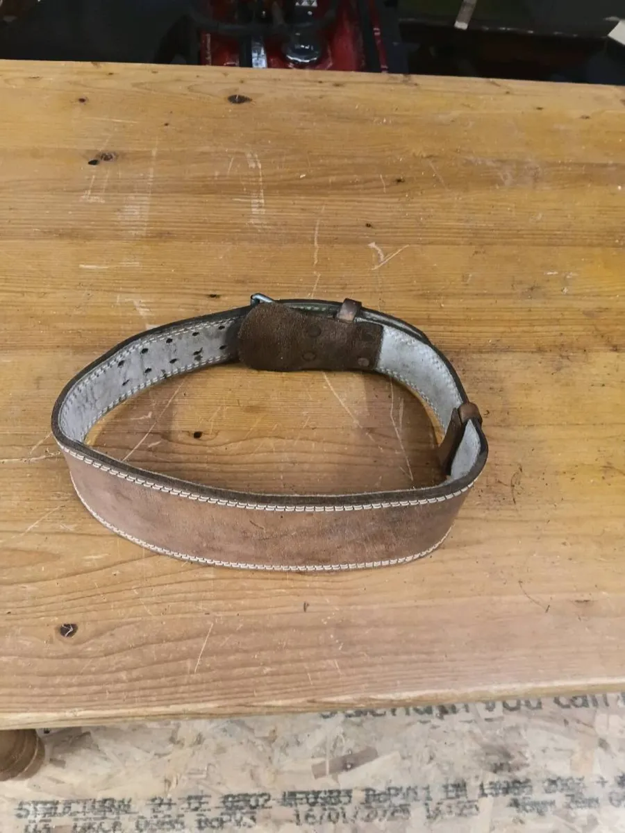 Weight lifting belt and pro ball 6kg - Image 2