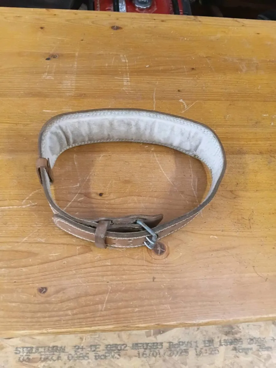 Weight lifting belt and pro ball 6kg - Image 4