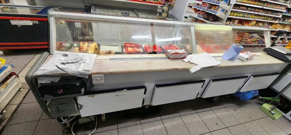 Commercial Glass Door Display Freezers - Image 4