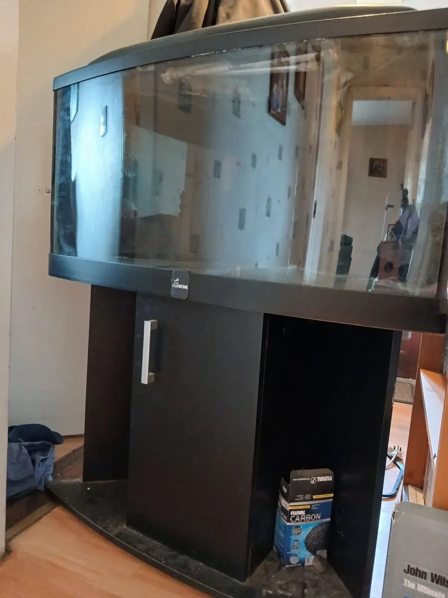 Corner fish tank - Image 1