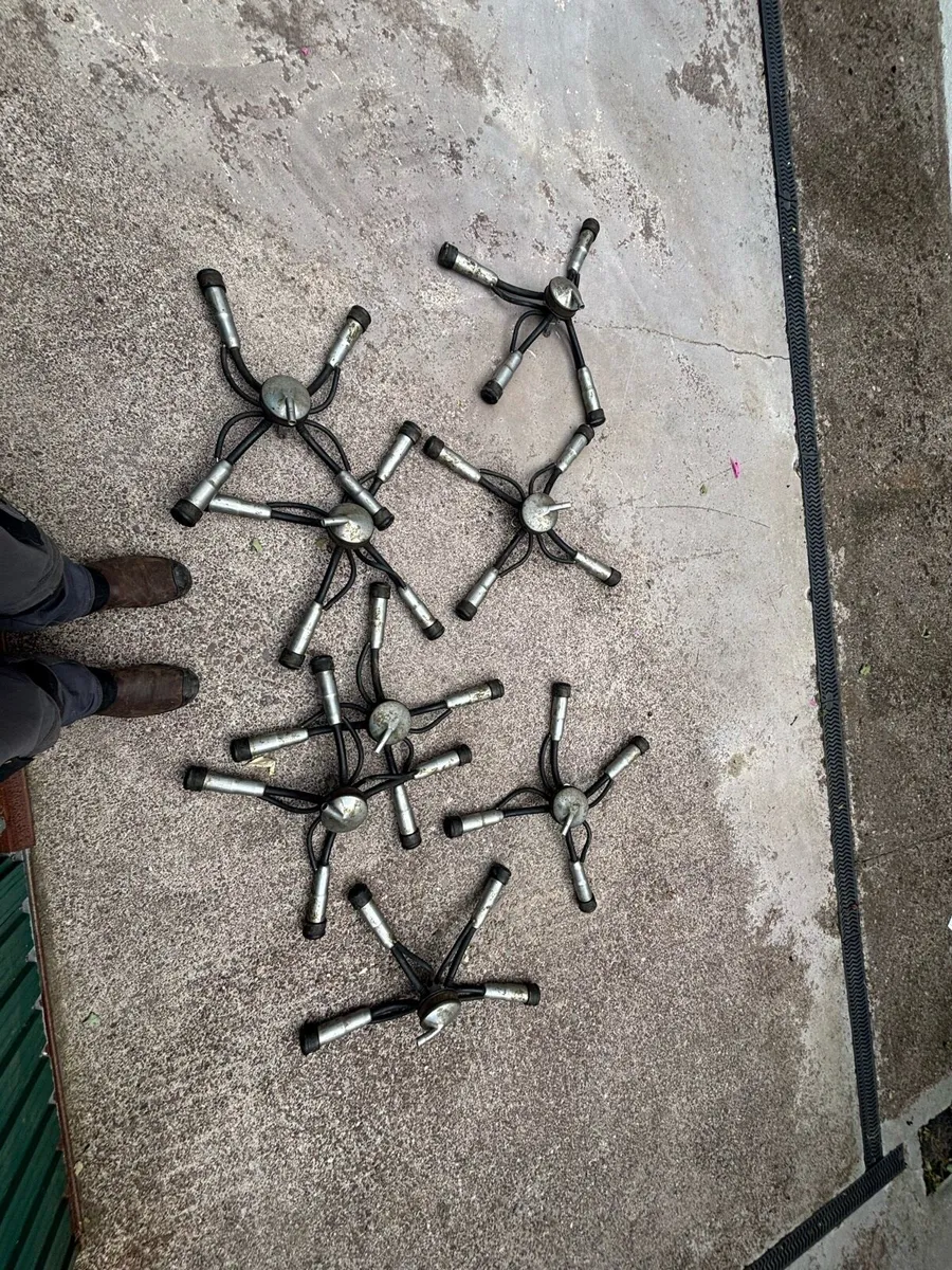 8 Gascoigne clusters,liners,shells - Image 2