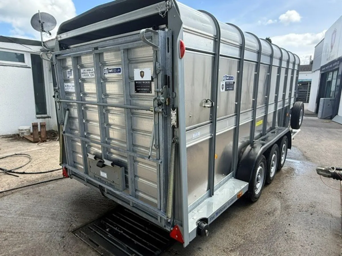 T3042723  New TA510 16' x 5'10'' Sheep Trailer XXX - Image 2