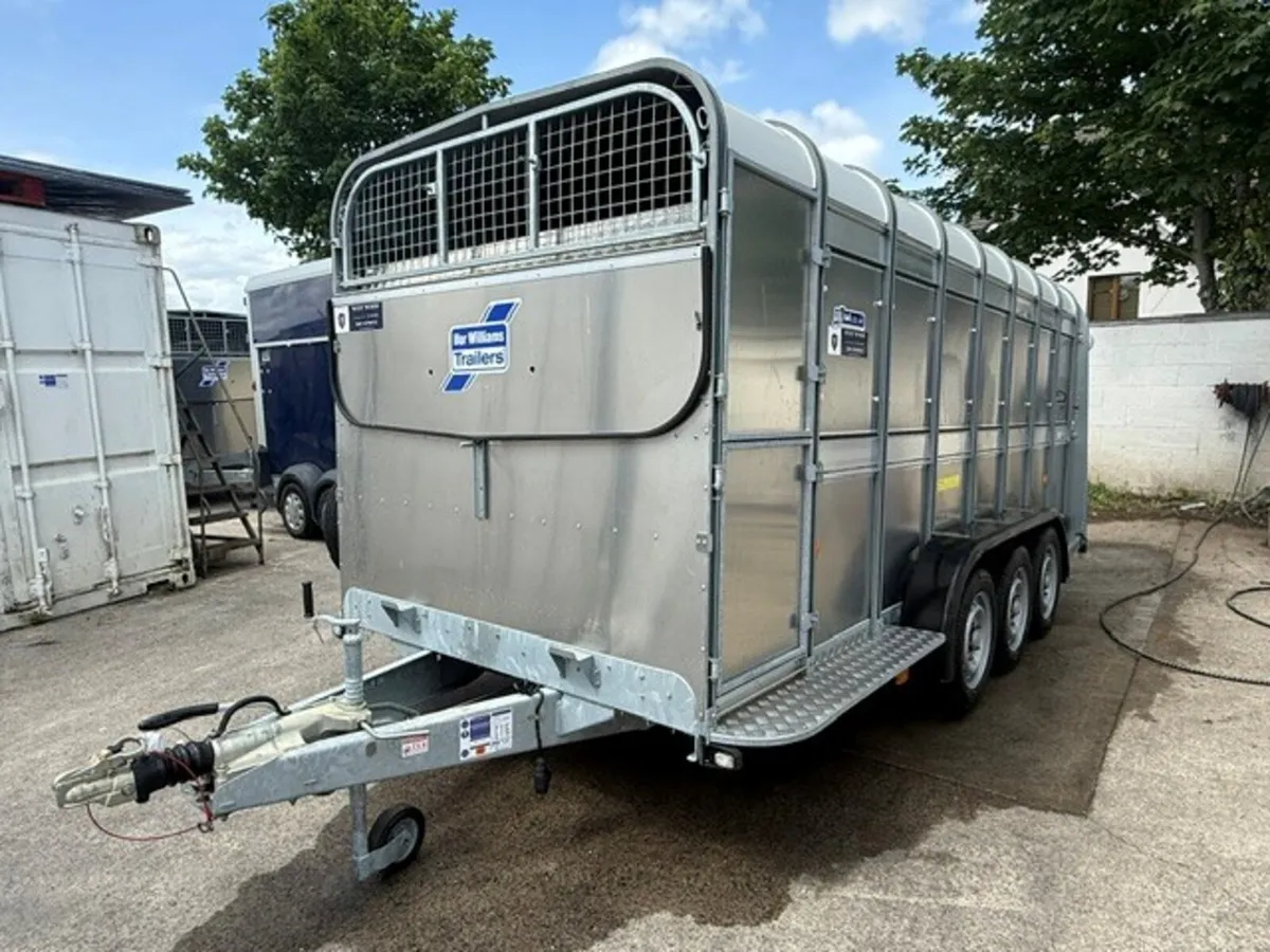 T3042723  New TA510 16' x 5'10'' Sheep Trailer XXX - Image 3