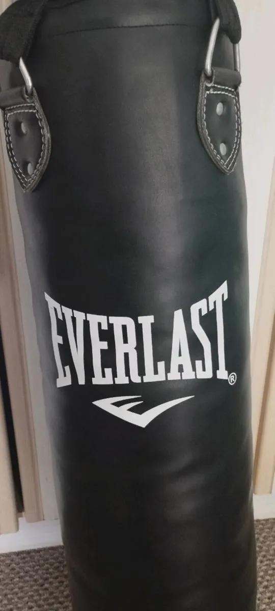 Punching bag - Image 2