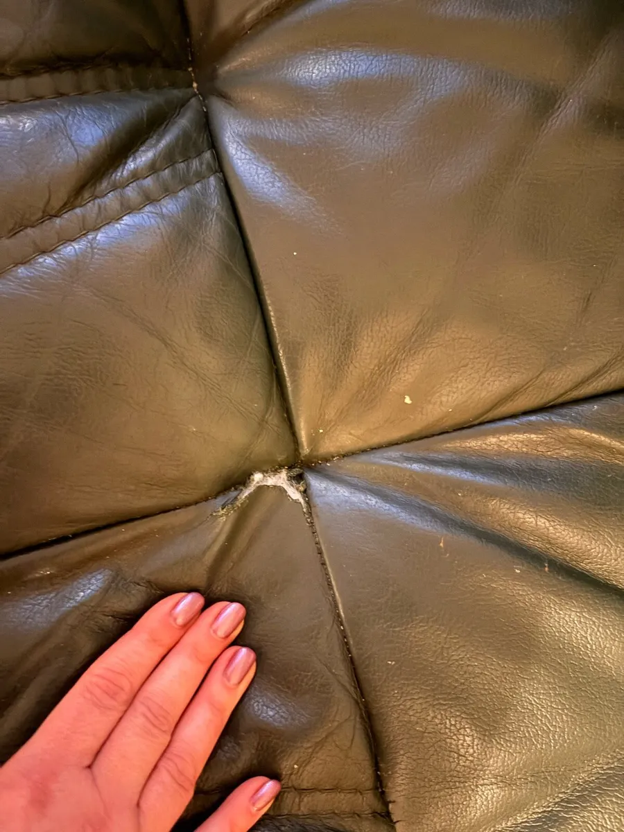 Leather Green Sofa - Image 3