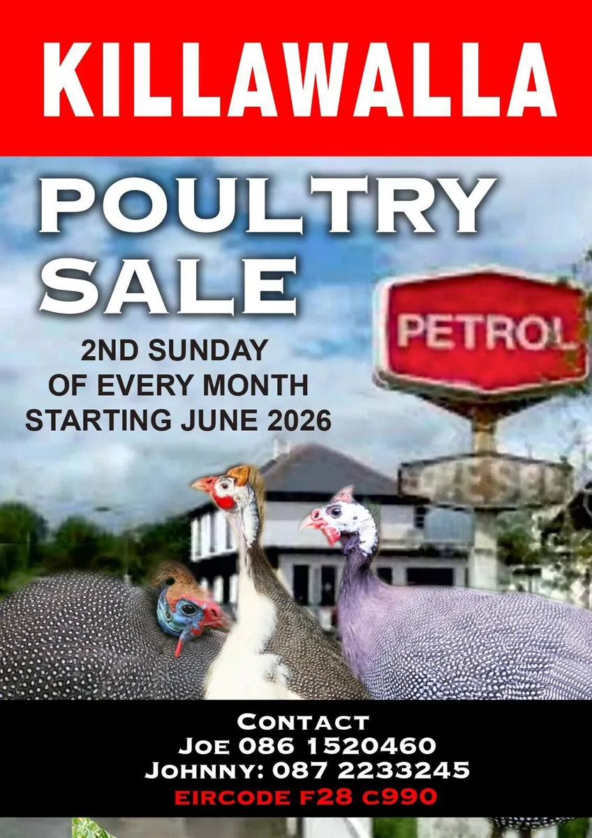 Poultry sale