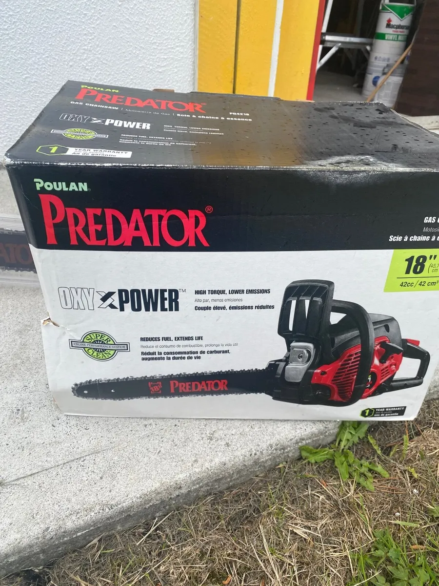Chainsaw - Image 2