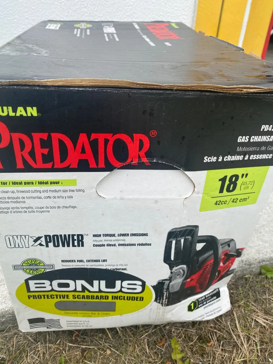 Chainsaw - Image 1