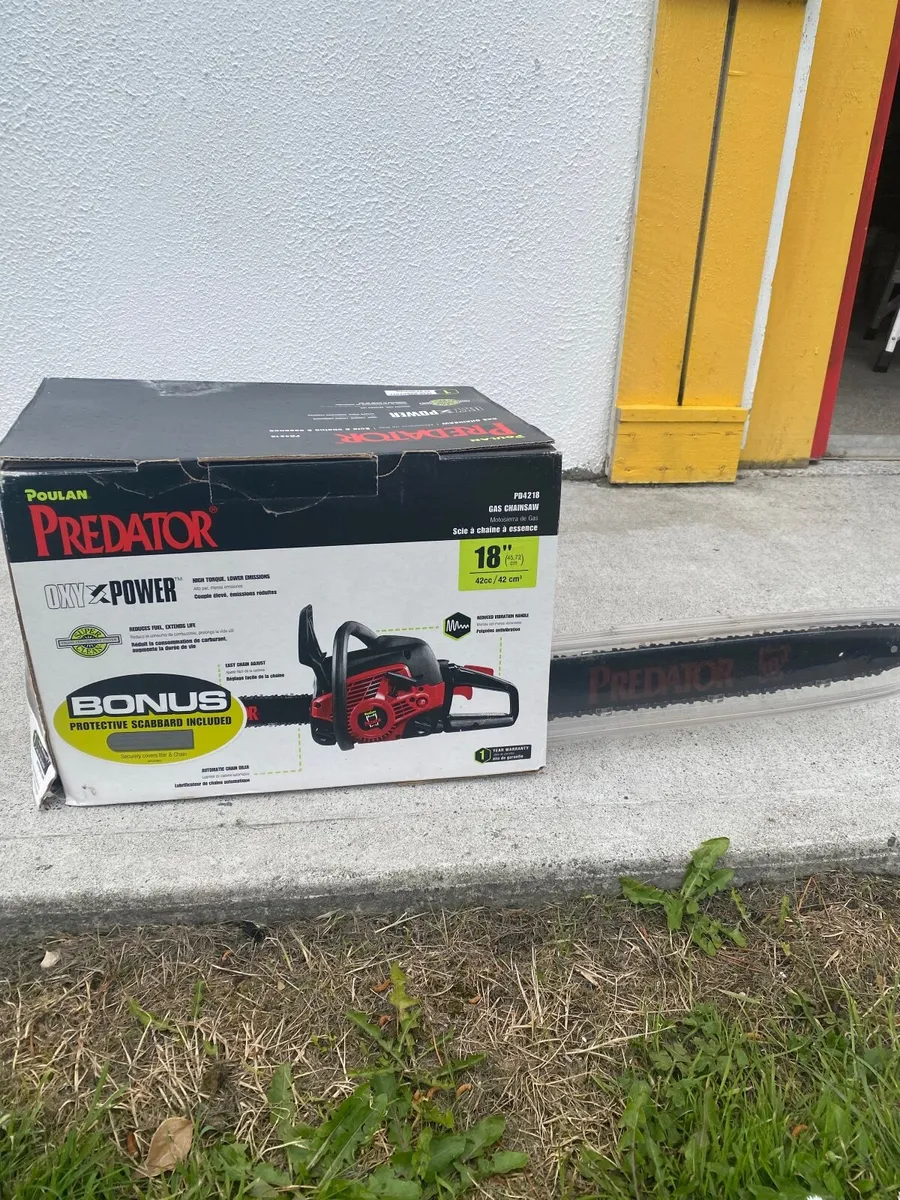 Chainsaw - Image 4