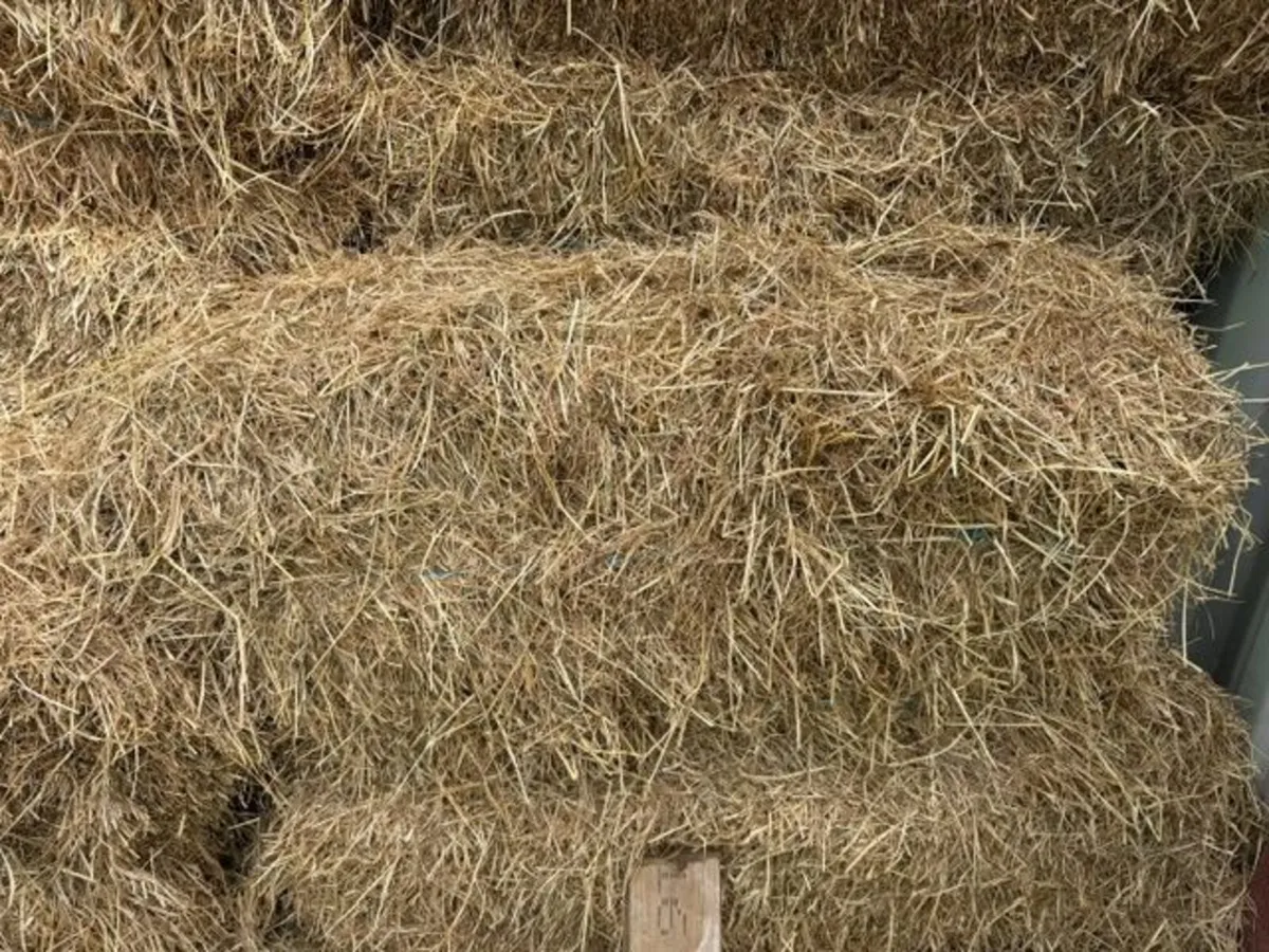 Small hay bales - Image 1
