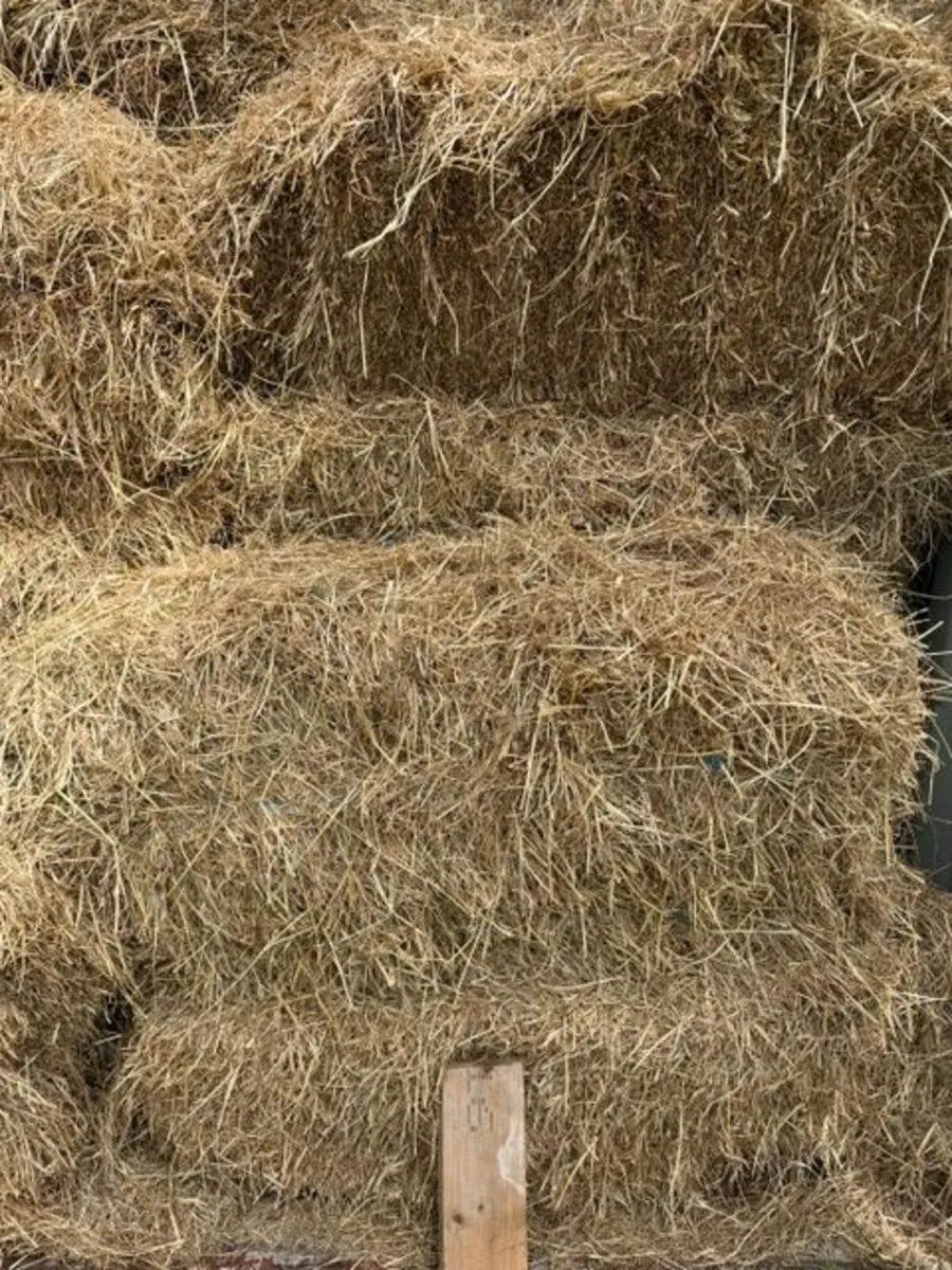 Small hay bales - Image 2