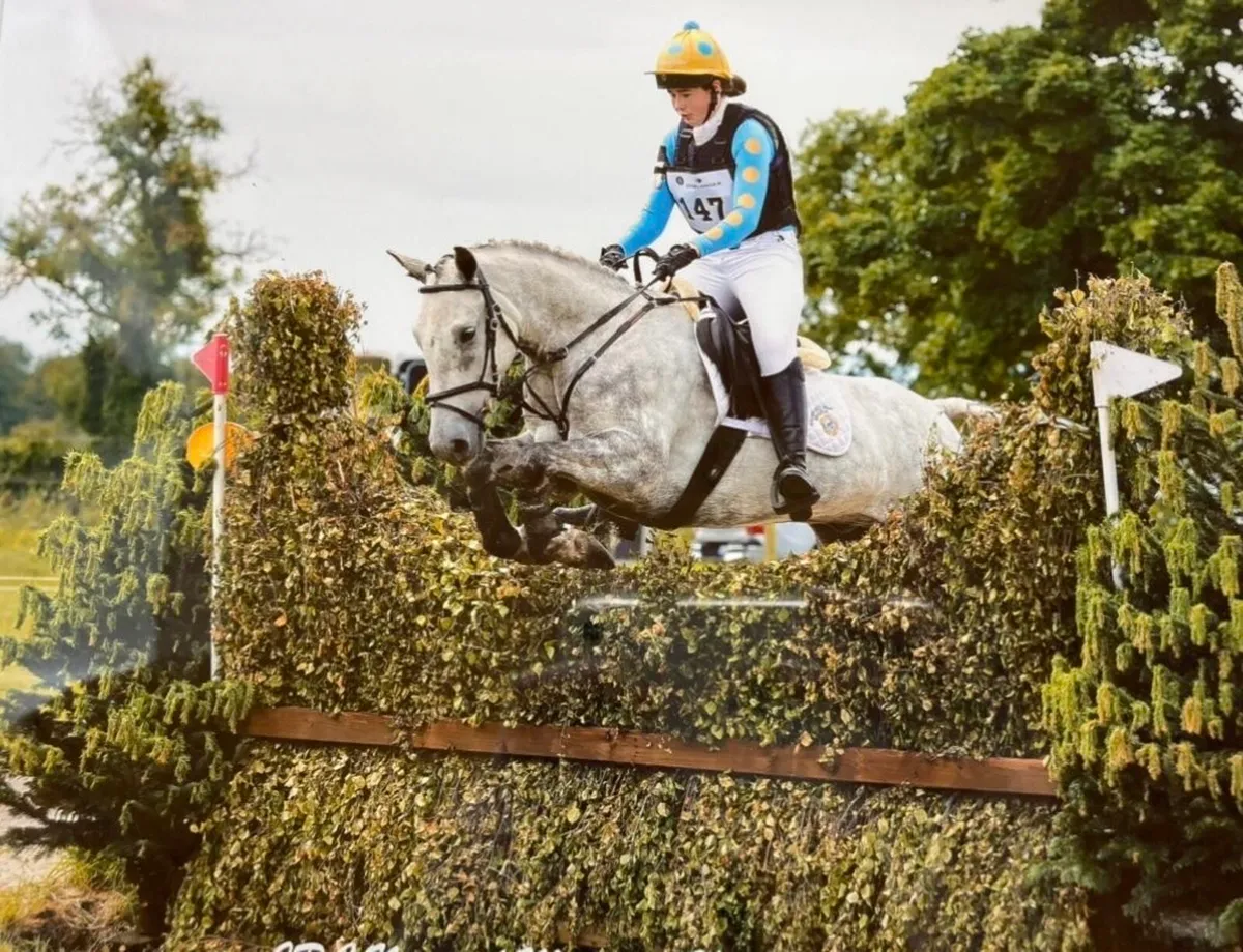 Pony club superstar - Image 2