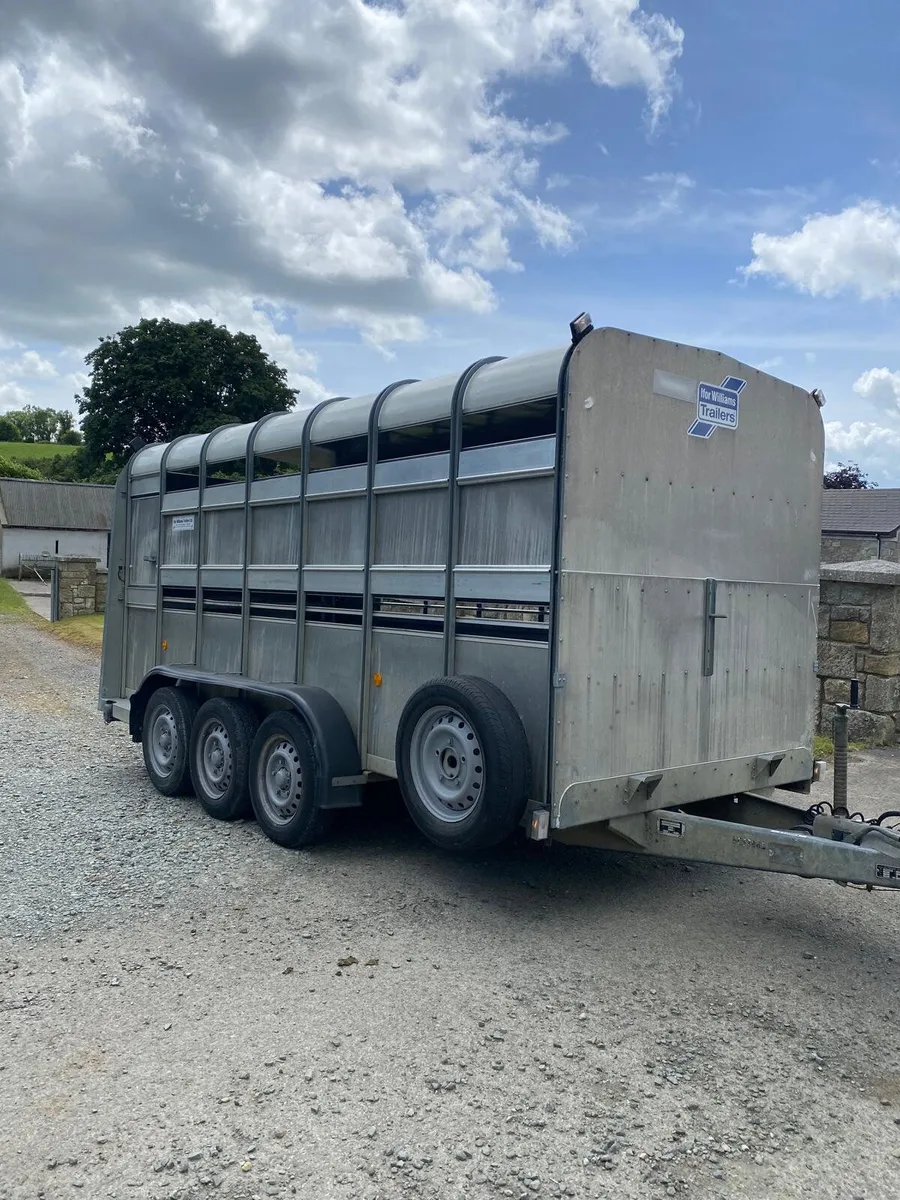 Iforwilliams 14X5'10 cattle box. - Image 1