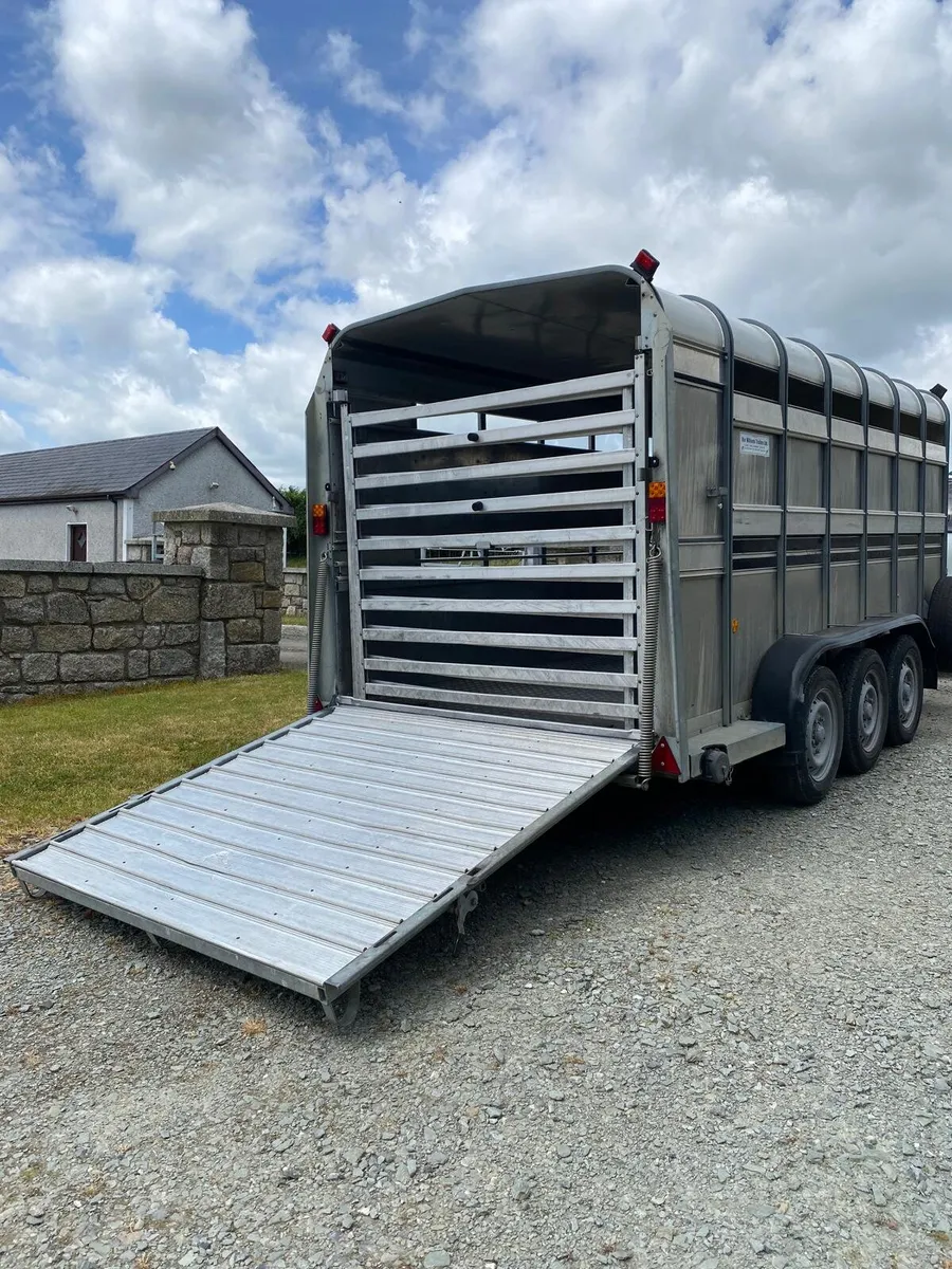 Iforwilliams 14X5'10 cattle box. - Image 2