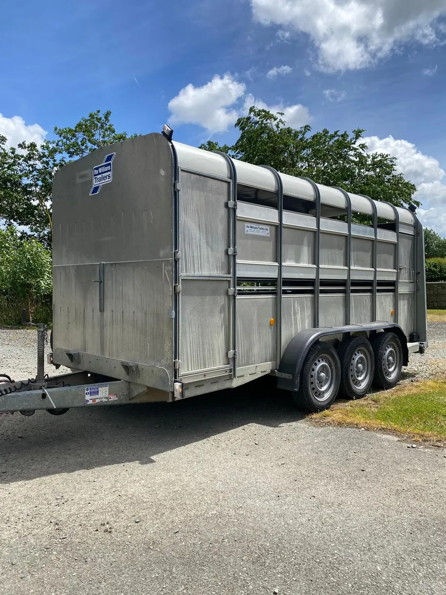 Iforwilliams 14X5'10 cattle box. - Image 3