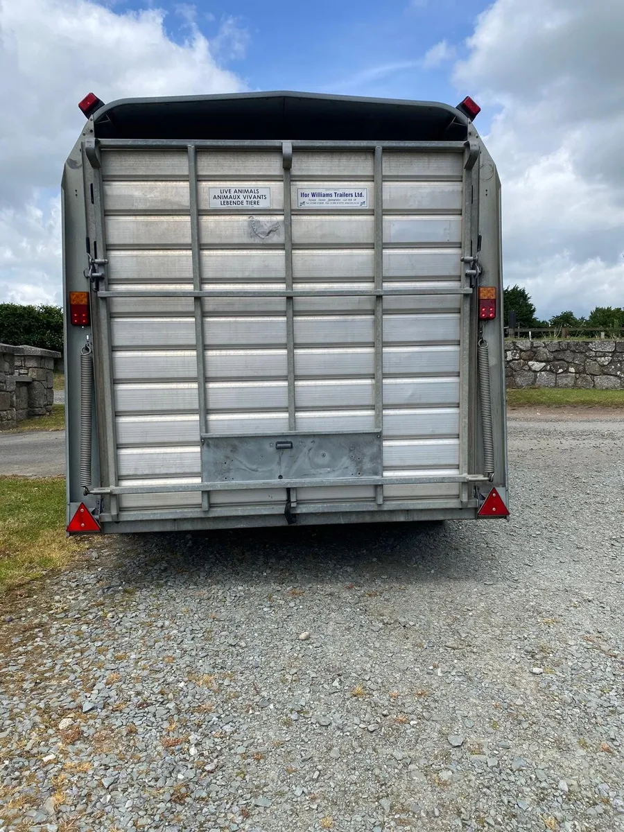 Iforwilliams 14X5'10 cattle box. - Image 4