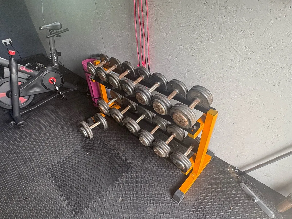 Weights & Bench - Image 2