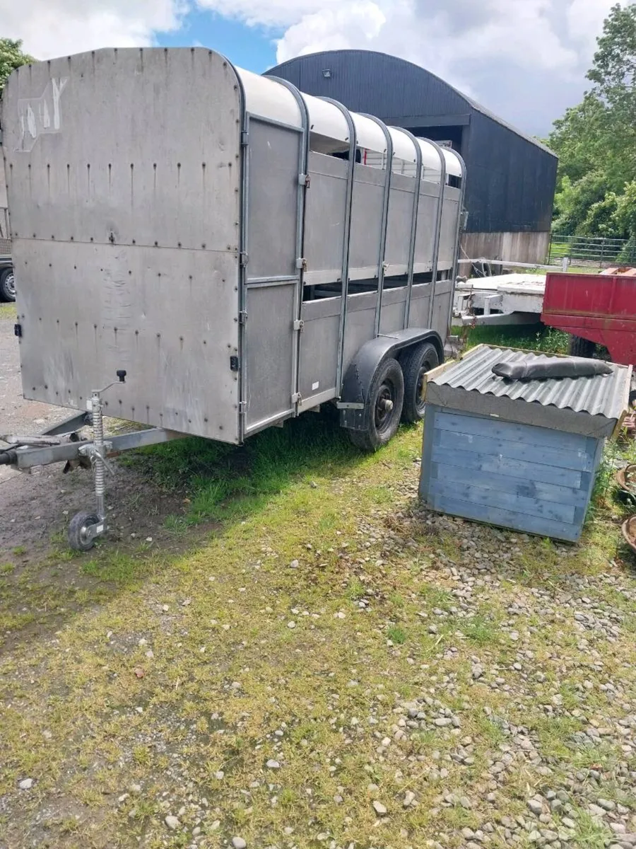 IVOR WILLIAMS CATTLE TRAILER - Image 3