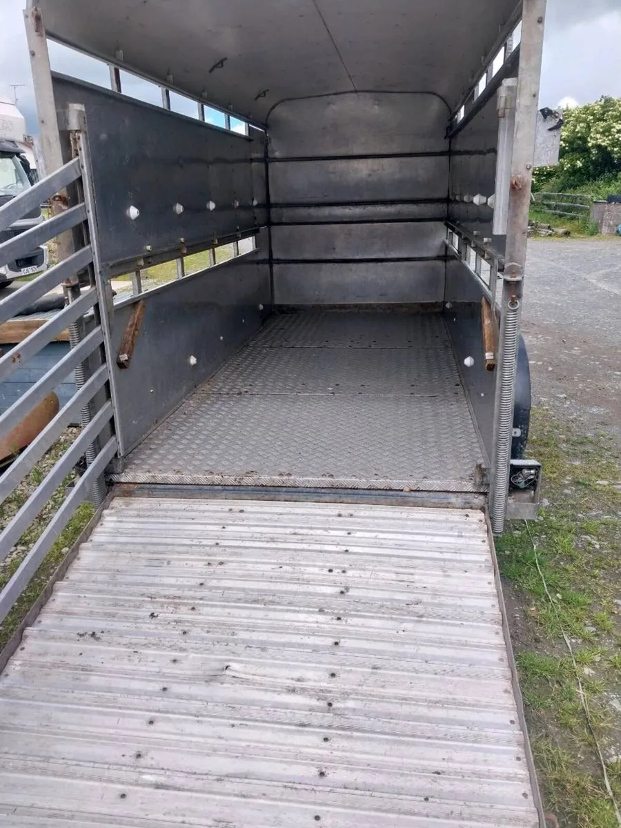 IVOR WILLIAMS CATTLE TRAILER - Image 4