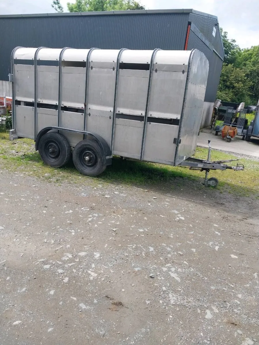IVOR WILLIAMS CATTLE TRAILER - Image 1