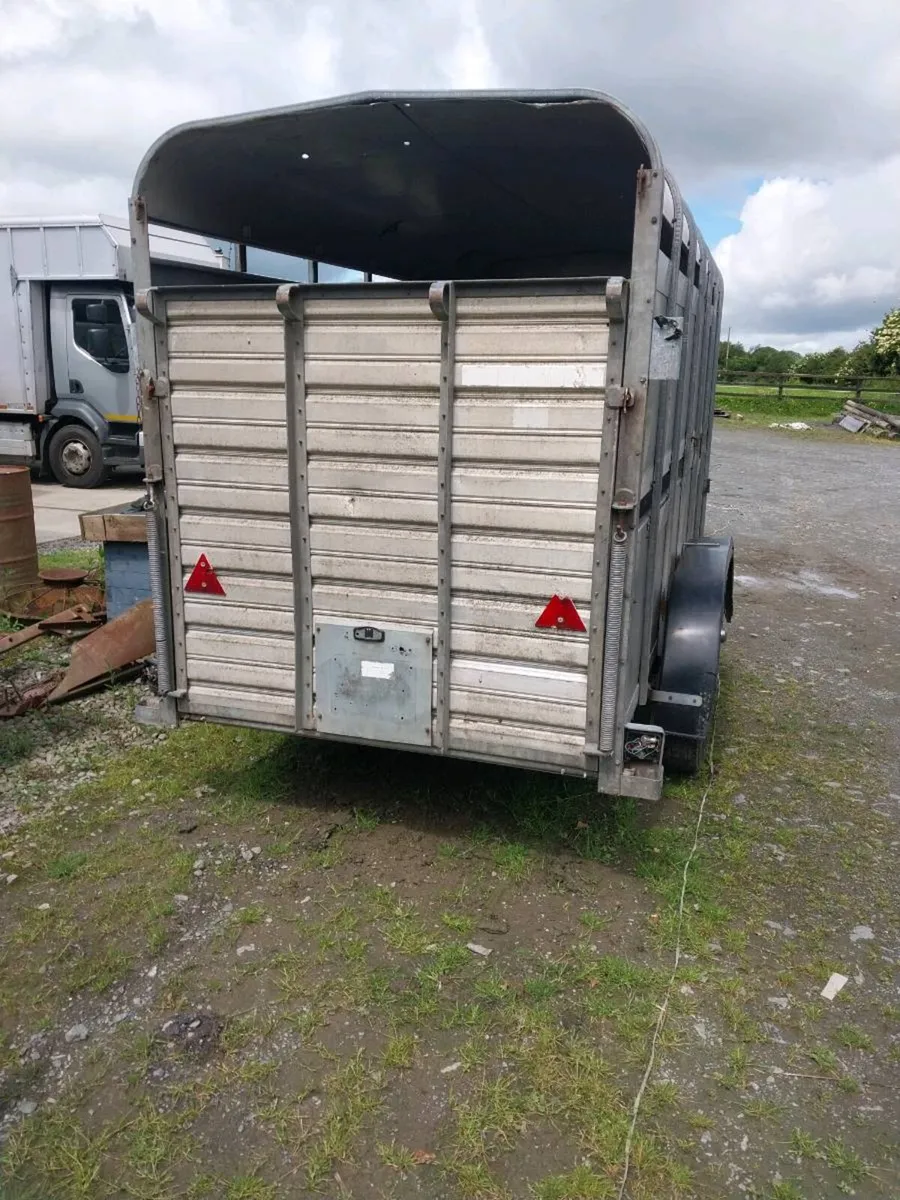 IVOR WILLIAMS CATTLE TRAILER - Image 2