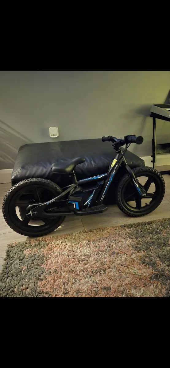 Kids electric bike