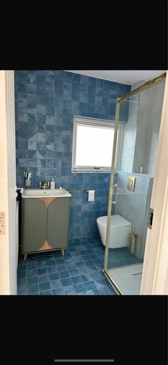 Brushed Brass Shower Door - Image 4