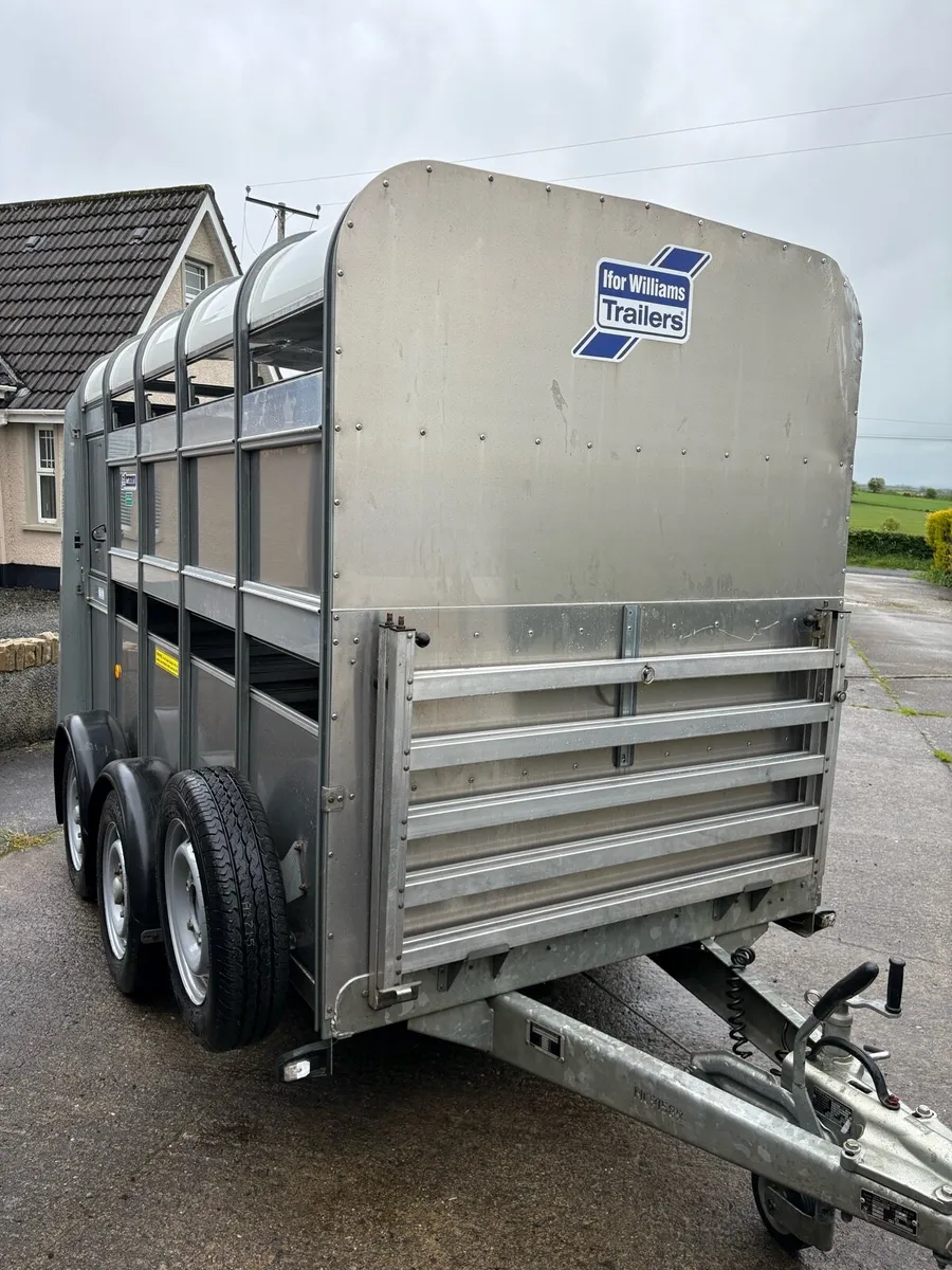 Ifor Williams 2022 - Image 1