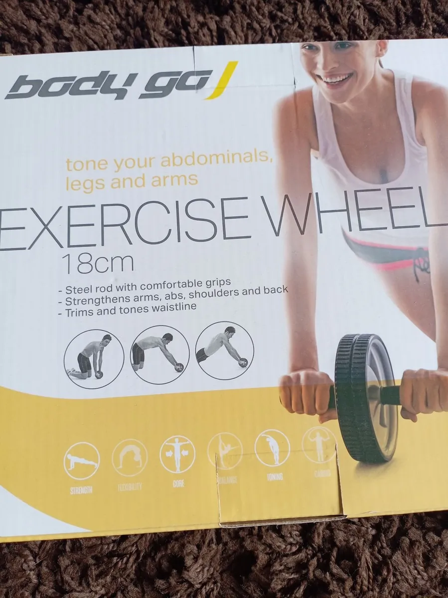 Exercise wheel - Image 1